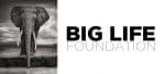 Big Life Foundation